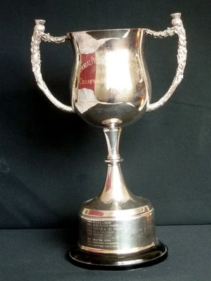 Trofeo de plata vintage muy grande 14” 35,7 cm premio copa histórica cardo escocés Foto 1 de 4