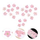 24 Pcs Pink Wooden Dried Flower Mobile Phone Case Material Manicure Kits