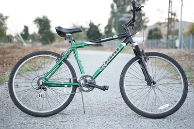 2001 Giant Iguana SE Rock Shox 26 英寸铝制硬尾山地自行车打磨器 — 第 1/4 张图片