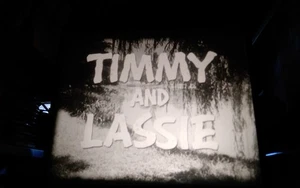 16mm Film - Timmy & Lassie - Silver Soldier - Bild 1 von 19