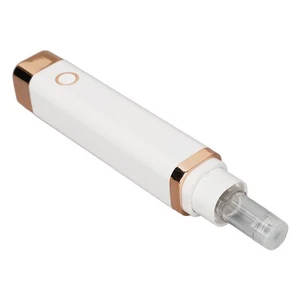 Cordless Electric Microneedling Pen Skin Rejuvenation Professional Microneed FSK - Bild 1 von 22