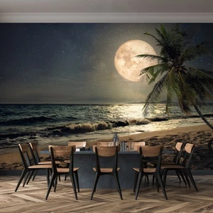 Strand Fototapete 368x254cm Mondblick Wandbild für Esszimmer Vlies - Bild 1 von 6
