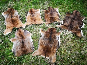 Muflon  Wildschaf Muffelwild Fell gegerbt Larp Deko ÖKO 2.Wahl Schnäppchen - Picture 1 of 7