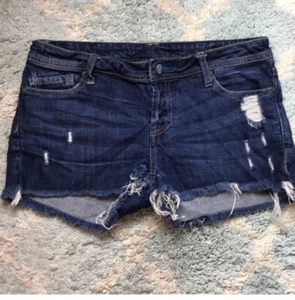 Genetic Denim The Harper High Rise Cut Off Short Size 28 Orig $198 - Picture 1 of 10