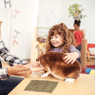 2 Pcs Mat Bunny Bedding for Rabbits Small Animal Floor Nest Mats - image 1 of 4