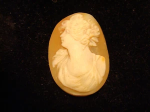 Antique Loose Cameo Carved Shell LADY - Picture 1 of 6