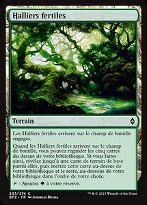 *MRM* FR/VF 4x Halliers fertiles MTG battle zendikar - Picture 1 of 1