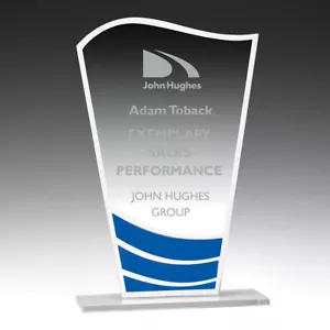 BUDGET GLASS TAILWIND TROPHY AWARD CORPORATE FREE ENGRAVING PERSONALISED 200MM - Picture 1 of 4