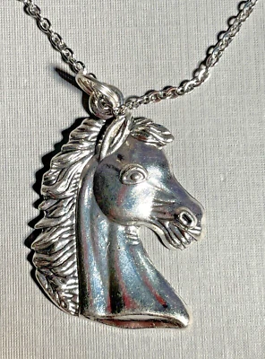 Horse Head Silver Charm Equestrian Necklace 24” Stainless Fashion Jewelry NEW Foto 1 de 4