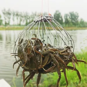Fishing Net Cage Automatic Open Closing Fishing Crab Trap Steel Wire Saltwater - Picture 1 of 14