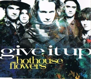Hothouse Flowers – Give It Up CD - Picture 1 of 4