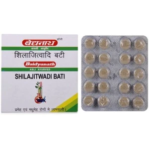 Baidyanath Shilajitwadi Bati (Ordinary) (40tab Herbal Wellness. Organic Serenity - Picture 1 of 3