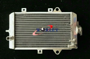 Aluminum Radiateur Pour 2013-2020 ATV Yamaha Raptor 700R YFM700R 2019 - Photo 1/6
