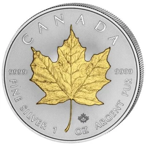 2016 Ahorn- -blatt Kanada 1 OZ Silber Münze Gilded Rcm Royal Canadian Mint - Bild 1 von 4