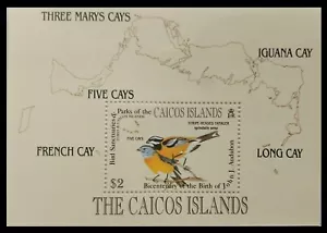 128.CAICOS ISLAND STAMP M/S BIRDS (BIRD SANCTUARIES & PARKS OF CAICOS ) . MNH - Picture 1 of 1