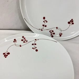 Mikasa Gourmet Basics ROTE BEEREN Salatteller 8 1/2" 2er Set - Bild 1 von 5