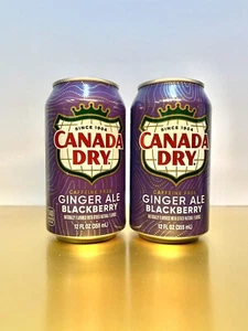 〽️ New Rare Limited Canada Dry BLACKBERRY Ginger Ale Caffeine Free (2 Cans) - Picture 1 of 2