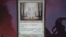 1X Angelic Wall Odyssey NM/EX Italian SIGNED MTG CARD
