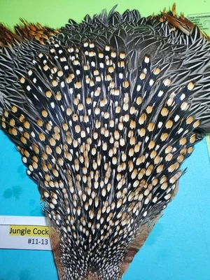 Jungle Cock Cape SUPER AAA 11-13  USA Only  - Image 1 of 4