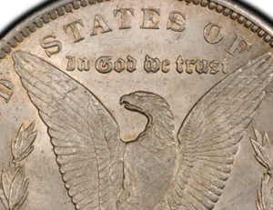 1891 CC Morgan Silver Dollar VAM-3 'Spitting Eagle' MS 61 with Gold Shield Tech - Picture 1 of 9