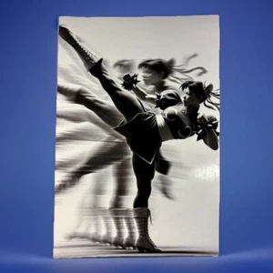 Street Fighter Chun Li Art 4x6 Sticker - Picture 1 of 1