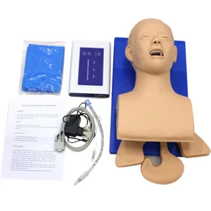 Intubation Manikin Studie Unterricht Modell Atemwegsmanagement Trainer PVC mit Zähnen - Bild 1 von 4