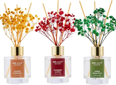 Reed Diffuser Set of 3, Coconut Pineapple Lemon Eucalyptus Cranberry Apple Oil R - Image 1 of 4