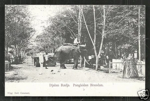 Pangkalan Brandan Jl Radja Elefant Sumatra Indonesien Briefmarke 1907 - Bild 1 von 1