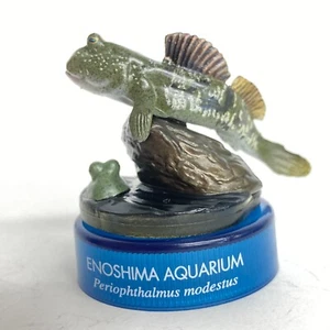 Kaiyodo Aquatales Enoshima Aquarium Bottle Cap Figure Fish Mudskipper Japan - Picture 1 of 4