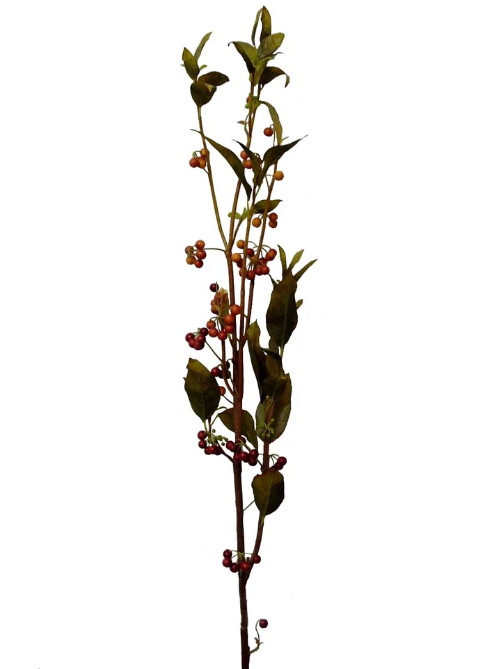 (01474) ARTIFICIAL RAMA HOJAS FRUTOS ROJOS BAYA FRUTAS DEL BOSQUE BERRY ROJO - Imagen 1 de 1