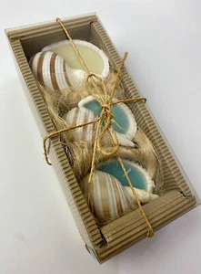 Sea Shell Candles NOS - Set Of 3 - Picture 1 of 7