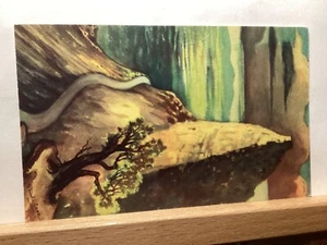 The Knife Edge, Mesa Verde National Park: Colorado - Vintage Postcard - Picture 1 of 3