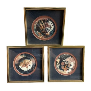 San Antonio Art Original Watercolor Paintings Karen Kelley 6.5' Shells Butterfly - Picture 1 of 6