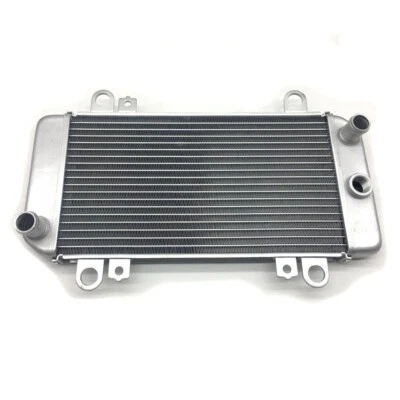 Radiadores de refrigeración del motor de motocicleta aptos para Kawasaki Ninja 250R EX250J 2008-2012 Foto 1 de 4
