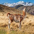Patagonia National Park: Chile by Kristine McDivitt Tompkins Paperback Book