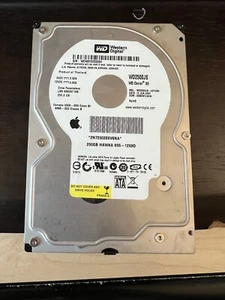 Disco duro SATA Western Digital Caviar SE 250 GB 3,5 pulgadas - Imagen 1 de 2