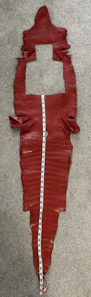 Cauda de jacaré vermelha fosca - Imagem 1 de 1