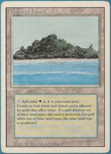 Tropical Island Revised HEAVILY PLD Land Rare MAGIC CARD (ID# 246050) ABUGames