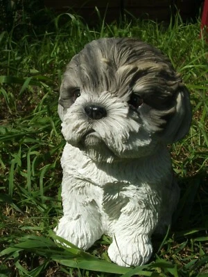 Latex Mould / Mold for a Sitting Shih-Tzu. - Image 1 of 2