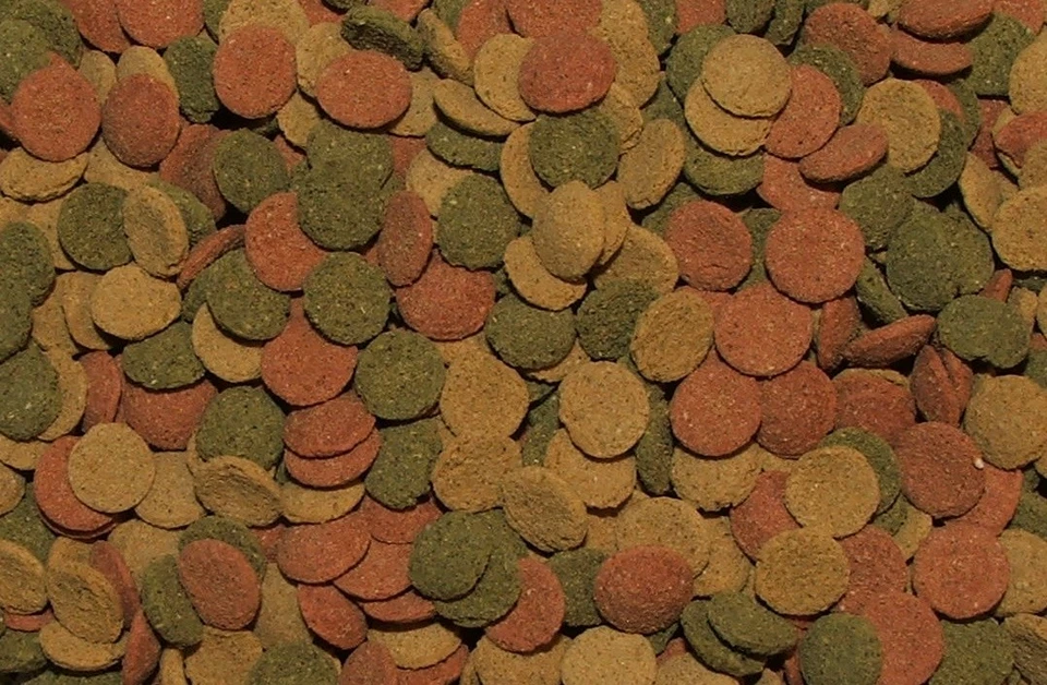 Lasama Mini Algen Wafers Mix