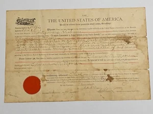 Documento Homestead dell’ufficio del presidente Theodore Roosevelt originale 1903 - Foto 1 di 13