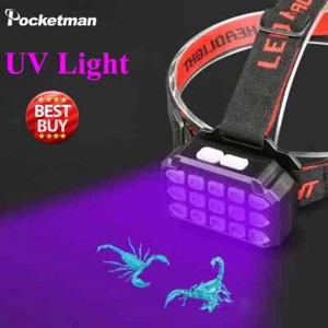 2 en 1 Luz Blanca + Faro LED UV USB Faro Recargable Lámpara de Cabeza UV - Imagen 1 de 20