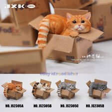 JXK Small The Cat In The Delivery Box 3.0 Model Funny Animal Scene Decor Kid Toy