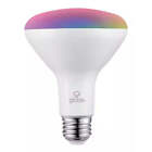 Globe BR30 Smart 65W LED Wi-Fi Frosted Light Bulb