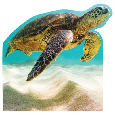 SEA TURTLE Lifesize CARDBOARD CUTOUT Standup Standee Poster Prop Marine Turtle - Image 1 of 4