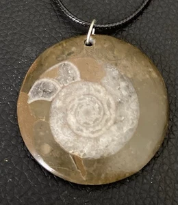 Polierter Ammonit Fossil Anhänger Halskette an 18 - 20" geflochtener Lederkette - Bild 1 von 3