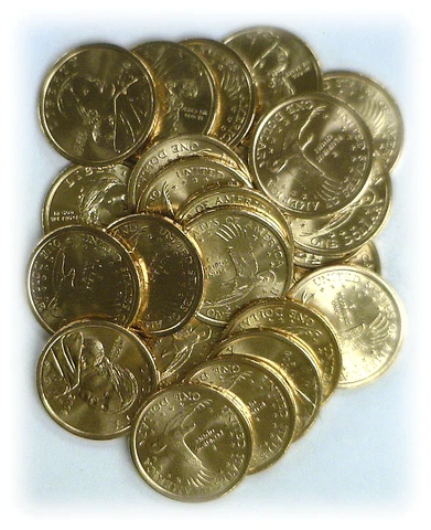 2004-D BU $1 Sacagawea/Native American Dollar $20 Face Roll From Mint Bag Cover