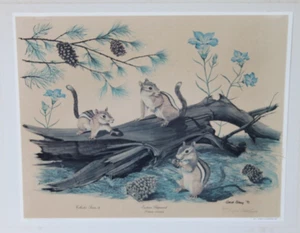 GENE GRAY "EASTERN Chipmunks HAND SIGNED 1ST EDITION PRINT# 330/ 1000 - Picture 1 of 8