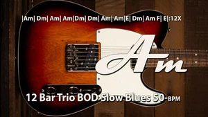 Beginner to Pro 12 Bar Country,Blues,Boogie  Backing Track Jam Music on 16GB USB - Picture 1 of 5