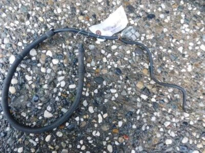 Cable de batería negativo/sin cortar focus ford 2004 #ho-6 Foto 1 de 3